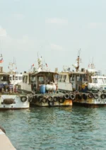 48-andy-peng-NxQJJseOihs-unsplash