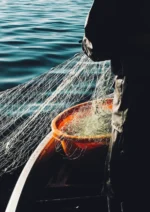 63-fredrik-ohlander-CbeApl8sxxw-unsplash